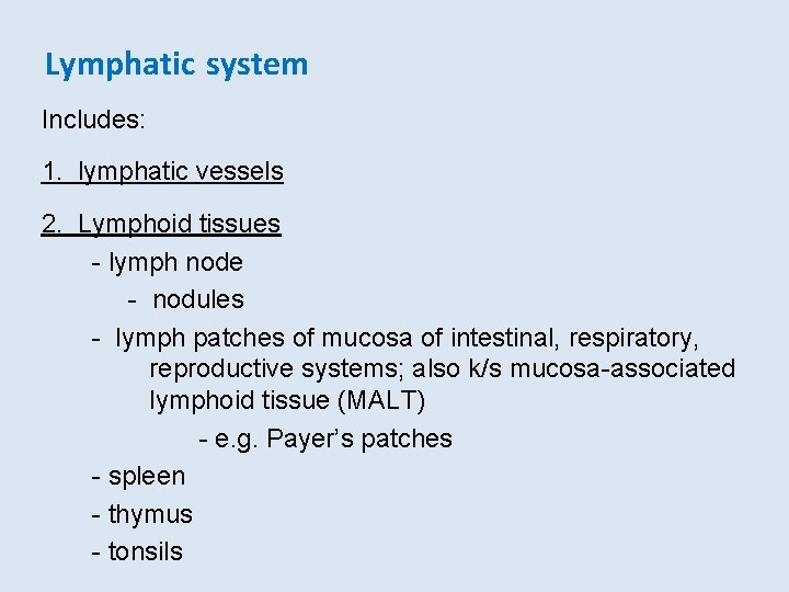 Lymphatic system Includes: 1. lymphatic vessels 2. Lymphoid tissues - lymph node - nodules