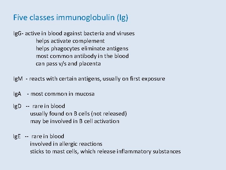 Five classes immunoglobulin (Ig) Ig. G- active in blood against bacteria and viruses helps