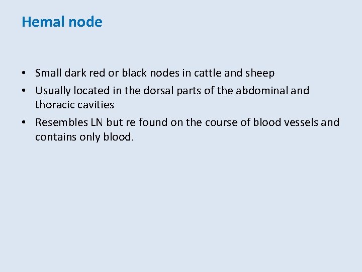 Hemal node • Small dark red or black nodes in cattle and sheep •