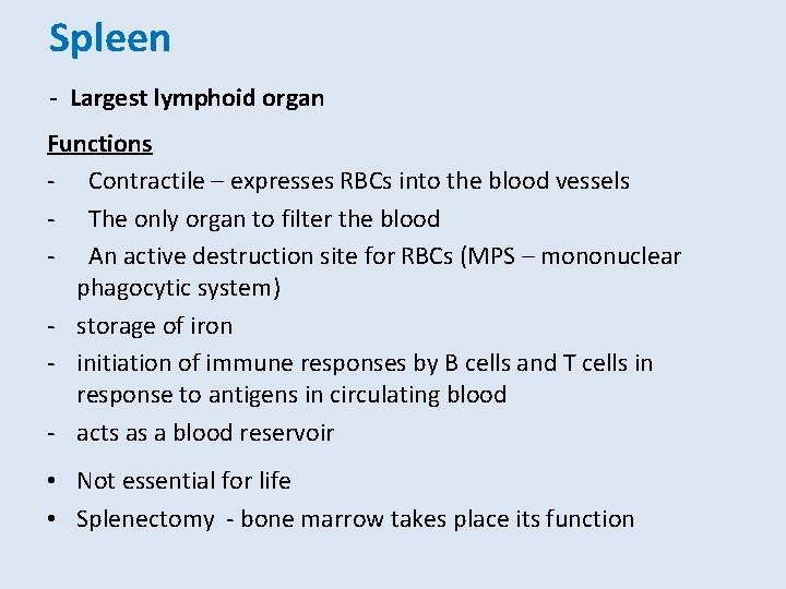 Spleen - Largest lymphoid organ Functions - Contractile – expresses RBCs into the blood