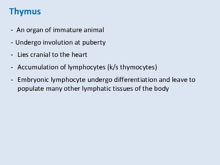 Thymus - An organ of immature animal - Undergo involution at puberty - Lies