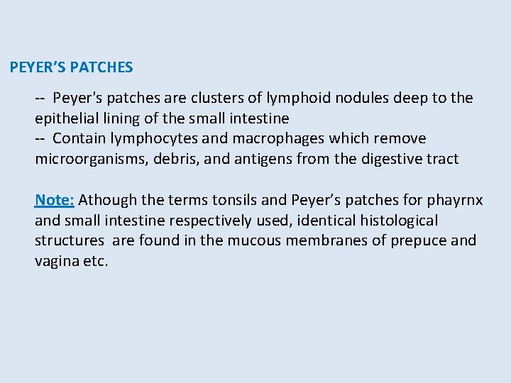 PEYER’S PATCHES -- Peyer's patches are clusters of lymphoid nodules deep to the epithelial