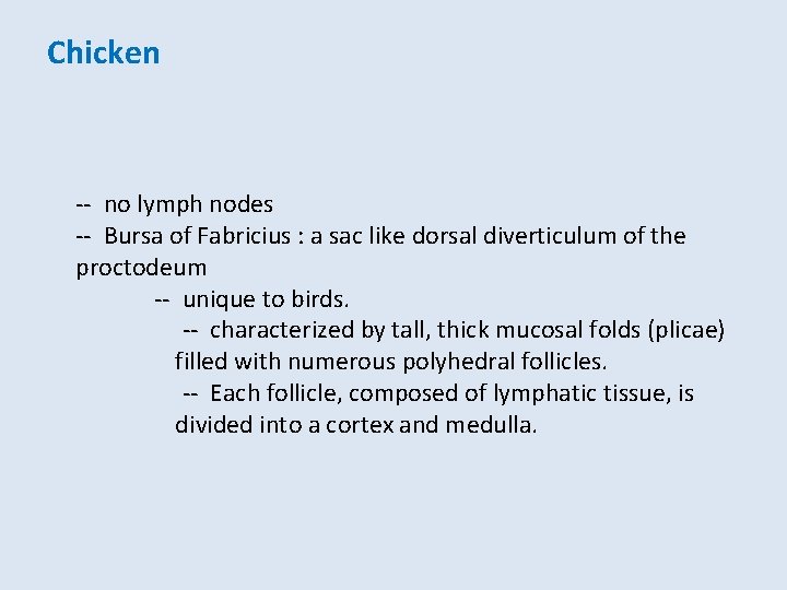 Chicken -- no lymph nodes -- Bursa of Fabricius : a sac like dorsal