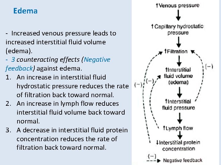 Edema - Increased venous pressure leads to increased interstitial fluid volume (edema). - 3