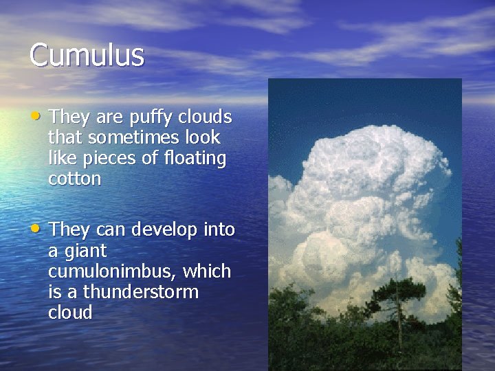 Cumulus • They are puffy clouds that sometimes look like pieces of floating cotton