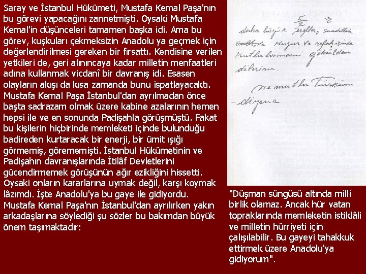 Saray ve İstanbul Hükümeti, Mustafa Kemal Paşa'nın bu görevi yapacağını zannetmişti. Oysaki Mustafa Kemal'in