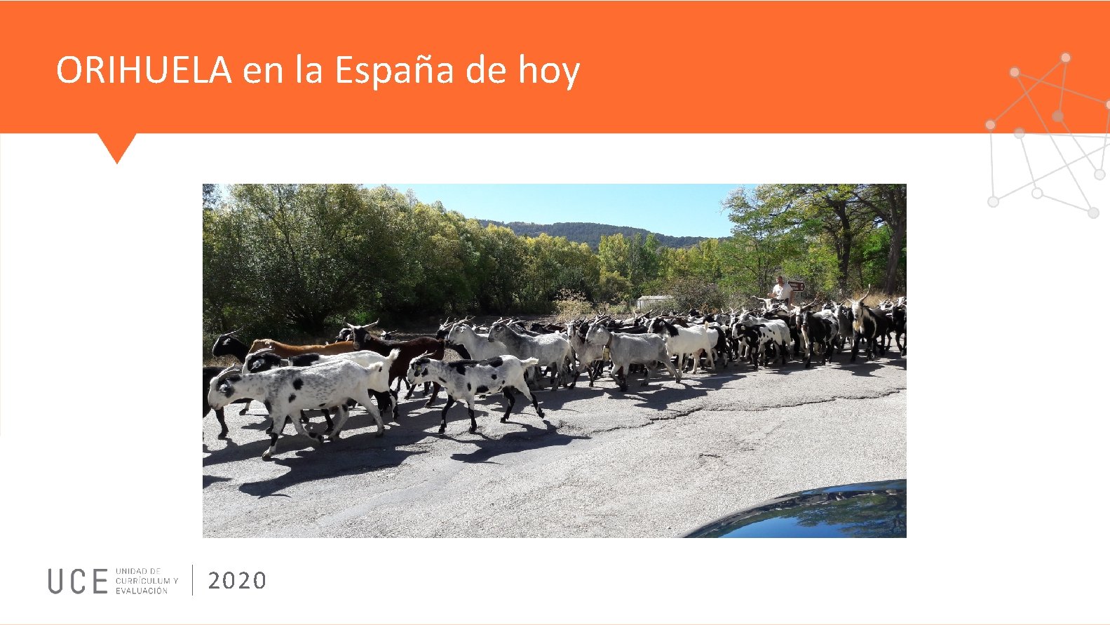 ORIHUELA en la España de hoy 2020 