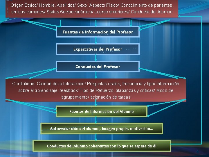 Origen Étnico/ Nombre, Apellidos/ Sexo, Aspecto Físico/ Conocimiento de parientes, amigos comunes/ Status Socioeconómico/