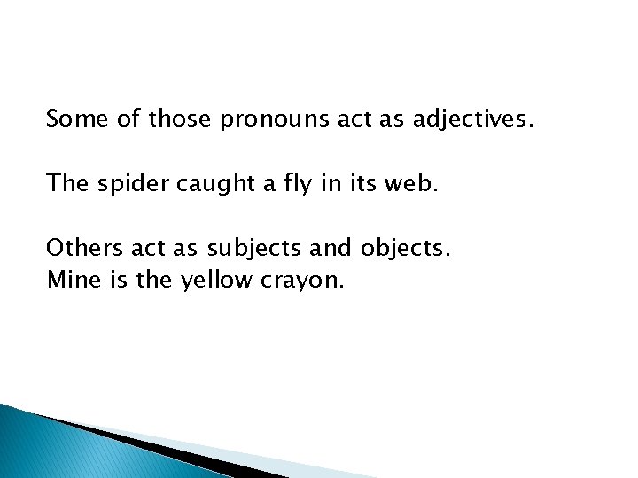 Some of those pronouns act as adjectives. The spider caught a fly in its