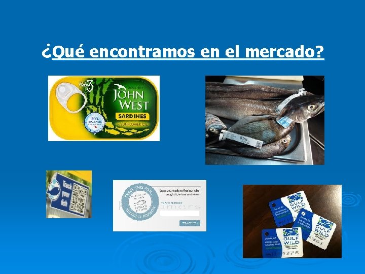 ¿Qué encontramos en el mercado? 