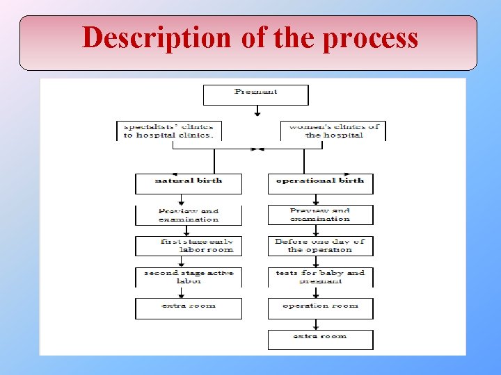 Description of the process 