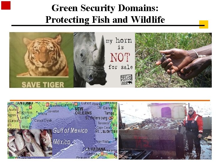 Green Security Domains: Protecting Fish and Wildlife 3 