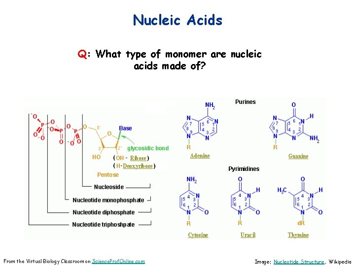 About Science Prof Online Power Point Resources Science