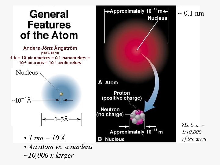 ~ 0. 1 nm Anders Jöns Ångström (1814 -1874) 1 Å = 10 picometers