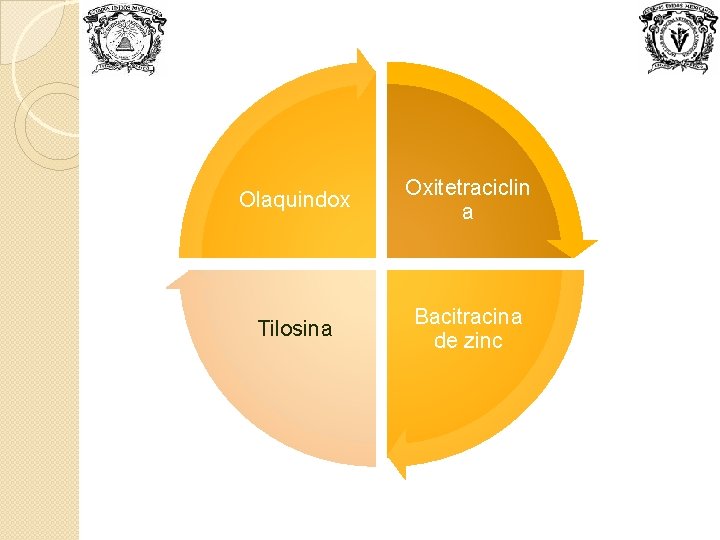 Olaquindox Oxitetraciclin a Tilosina Bacitracina de zinc 