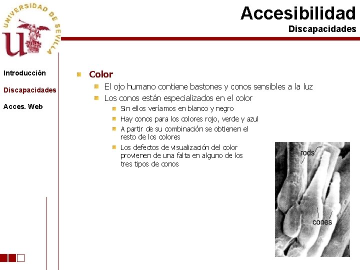 Accesibilidad Discapacidades Introducción Discapacidades Acces. Web Color El ojo humano contiene bastones y conos