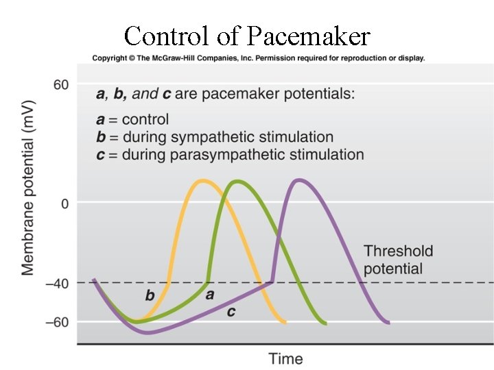 Control of Pacemaker 