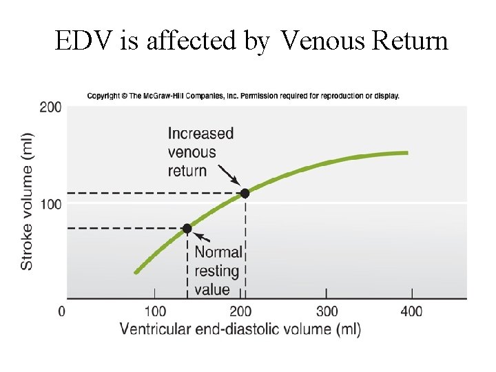 EDV is affected by Venous Return 