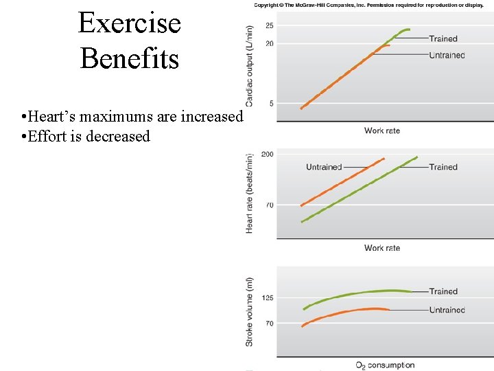 Exercise Benefits • Heart’s maximums are increased • Effort is decreased 