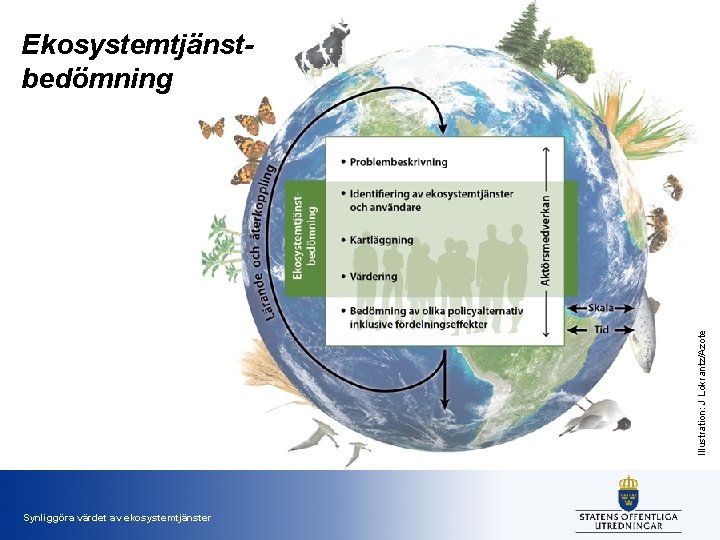 Illustration: J Lokrantz/Azote Ekosystemtjänstbedömning Synliggöra värdet av ekosystemtjänster 