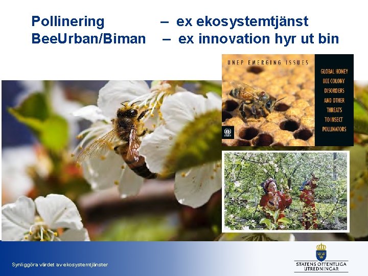 Pollinering – ex ekosystemtjänst Bee. Urban/Biman – ex innovation hyr ut bin Synliggöra värdet