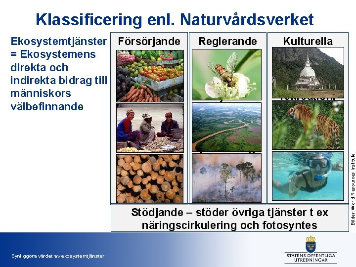 Klassificering enl. Naturvårdsverket Reglerande Tjänster som produceras av ekosystemet som vattenrening, kolsänkor, pollinering mm