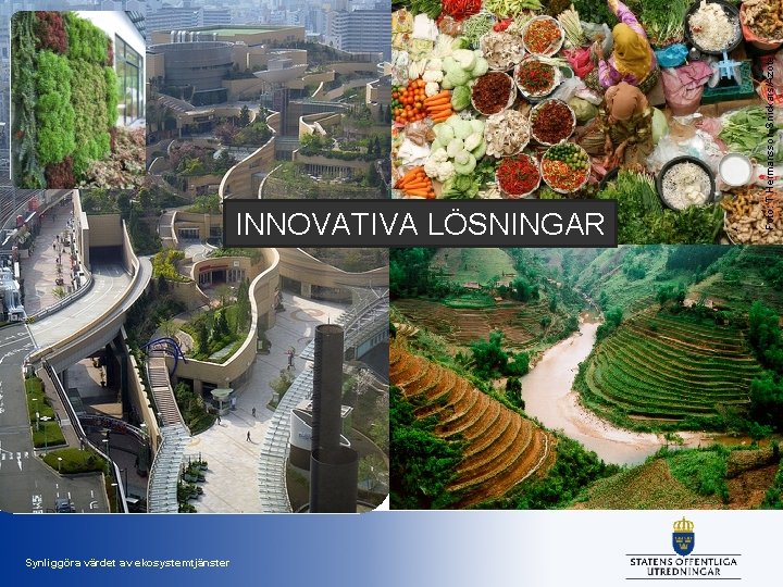 Synliggöra värdet av ekosystemtjänster Foto: T Hermansson Snickars/Azote INNOVATIVA LÖSNINGAR 