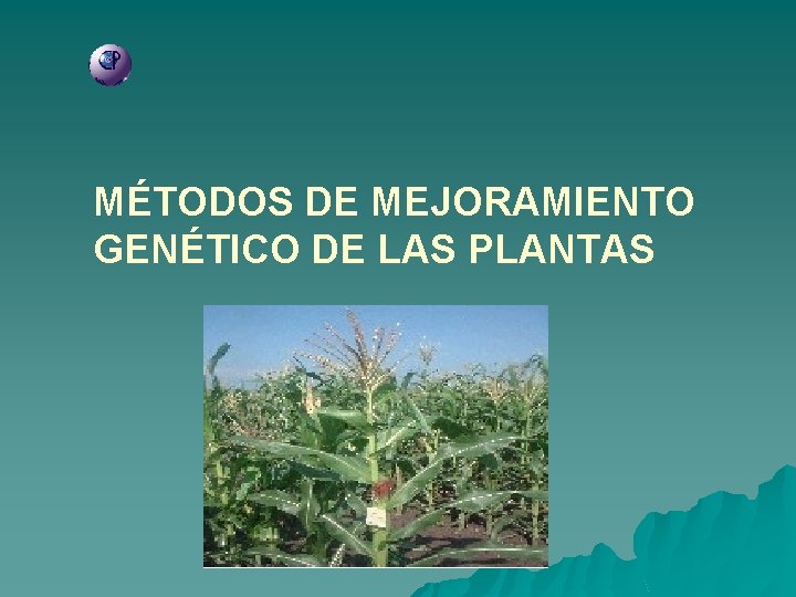 MÉTODOS DE MEJORAMIENTO GENÉTICO DE LAS PLANTAS 