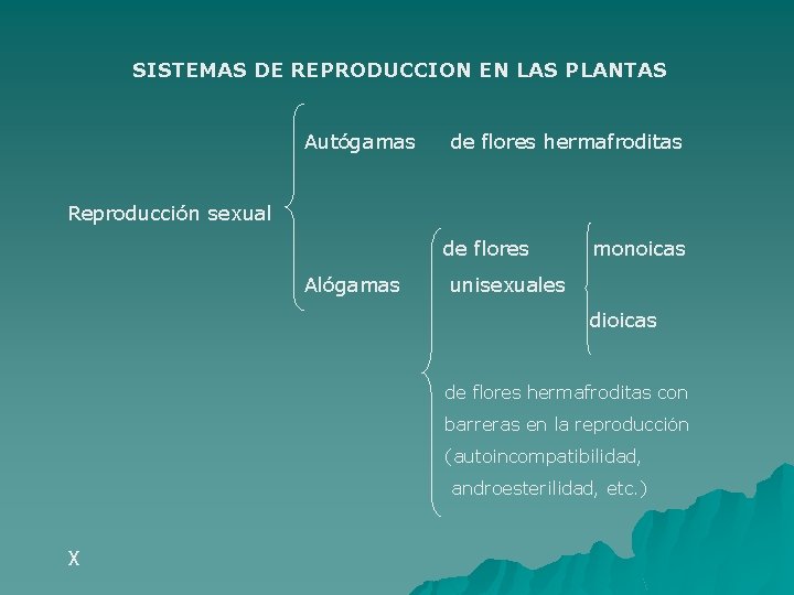 SISTEMAS DE REPRODUCCION EN LAS PLANTAS Autógamas de flores hermafroditas Reproducción sexual de flores