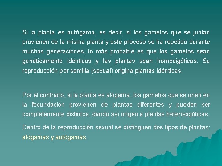 Si la planta es autógama, es decir, si los gametos que se juntan provienen