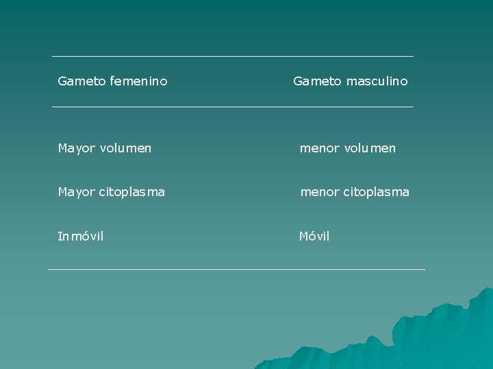 Gameto femenino Gameto masculino Mayor volumen menor volumen Mayor citoplasma menor citoplasma Inmóvil Móvil