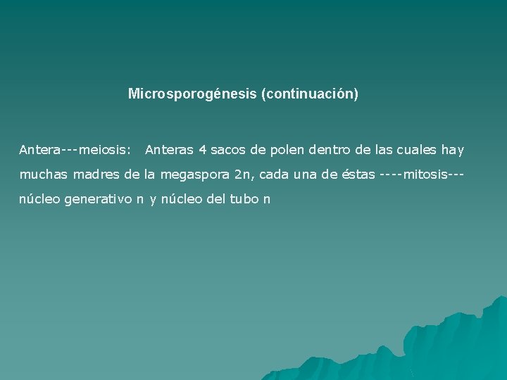 Microsporogénesis (continuación) Antera---meiosis: Anteras 4 sacos de polen dentro de las cuales hay muchas