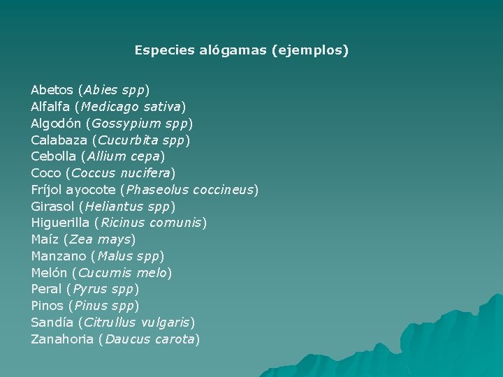 Especies alógamas (ejemplos) Abetos (Abies spp) Alfalfa (Medicago sativa) Algodón (Gossypium spp) Calabaza (Cucurbita