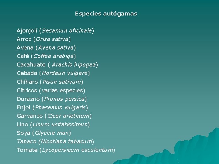 Especies autógamas Ajonjolí (Sesamun oficinale) Arroz (Oriza sativa) Avena (Avena sativa) Café (Coffea arabiga)