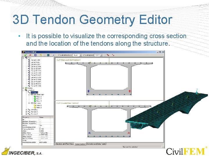 3 D Tendon Geometry Editor • It is possible to visualize the corresponding cross