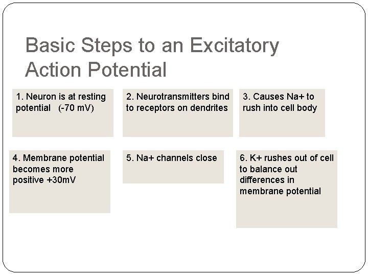 Basic Steps to an Excitatory Action Potential 1. Neuron is at resting potential (-70 Basic Steps to an Excitatory Action Potential 1. Neuron is at resting potential (-70