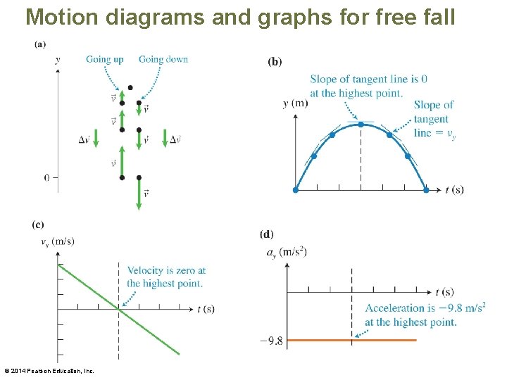 Motion diagrams and graphs for free fall © 2014 Pearson Education, Inc. 