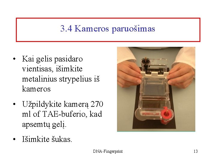 3. 4 Kameros paruošimas • Kai gelis pasidaro vientisas, išimkite metalinius strypelius iš kameros