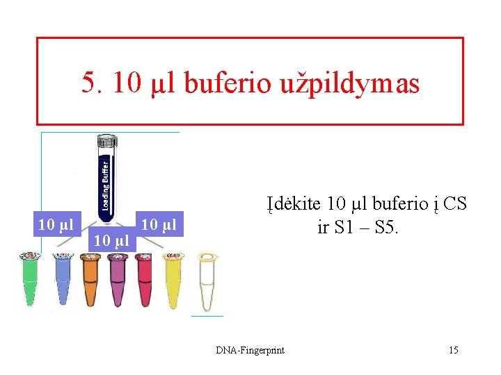 5. 10 µl buferio užpildymas 10 µl Įdėkite 10 µl buferio į CS ir