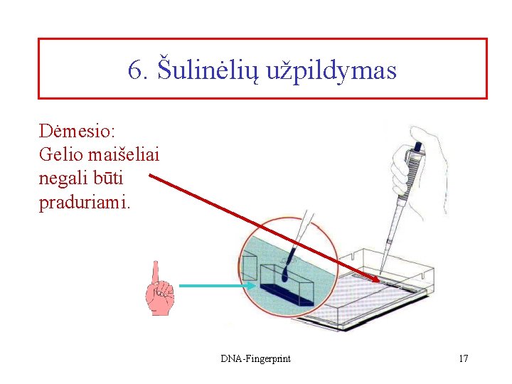 6. Šulinėlių užpildymas Dėmesio: Gelio maišeliai negali būti praduriami. DNA-Fingerprint 17 