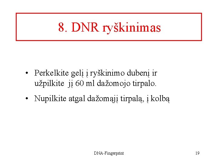 8. DNR ryškinimas • Perkelkite gelį į ryškinimo dubenį ir užpilkite jį 60 ml