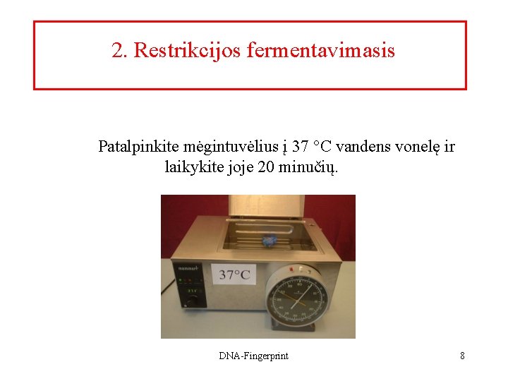 2. Restrikcijos fermentavimasis Patalpinkite mėgintuvėlius į 37 °C vandens vonelę ir laikykite joje 20