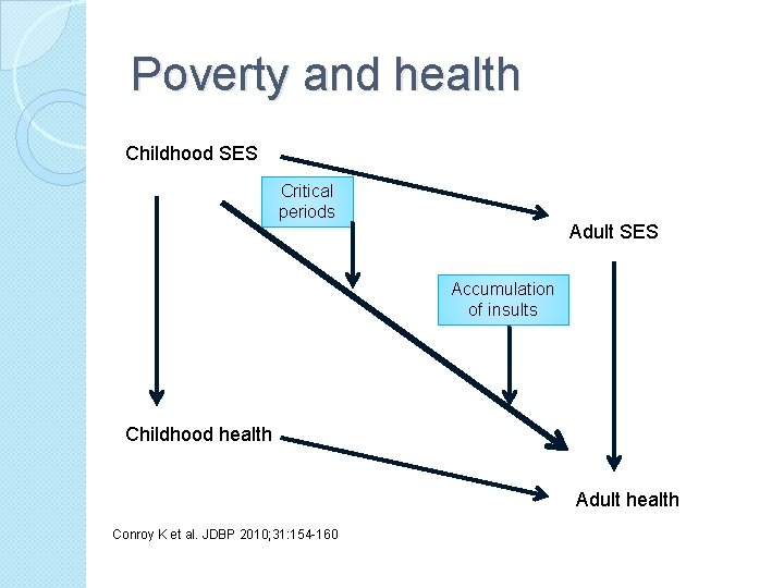 Poverty and health Childhood SES Critical periods Adult SES Accumulation of insults Childhood health