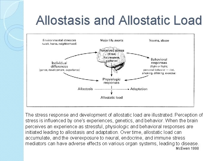 Allostasis and Allostatic Load The stress response and development of allostatic load are illustrated.