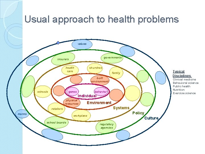 Usual approach to health problems values governments insurers health care churches Typical Disciplines family