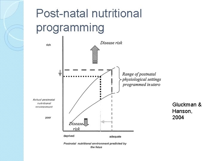 Post-natal nutritional programming Gluckman & Hanson, 2004 