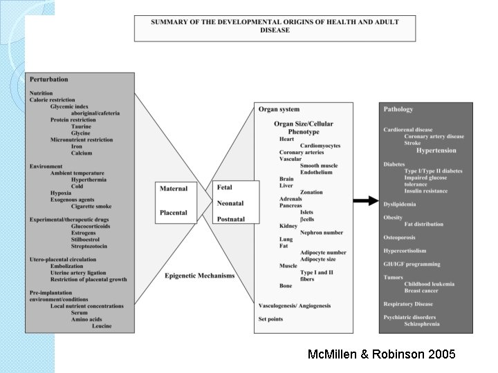 Mc. Millen & Robinson 2005 