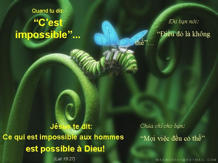 Quand tu dis: “C'est impossible”. . . Jésus te dit: Ce qui est impossible