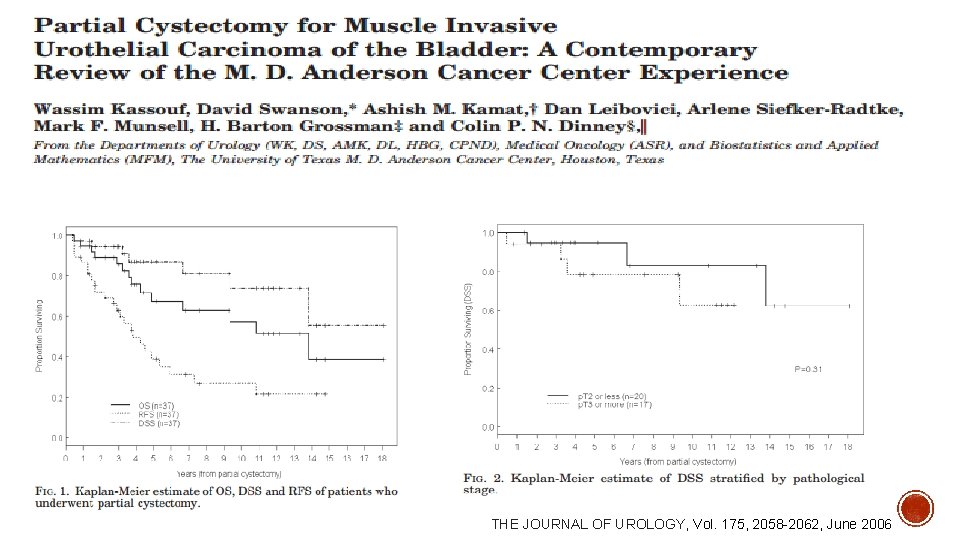 THE JOURNAL OF UROLOGY, Vol. 175, 2058 2062, June 2006 