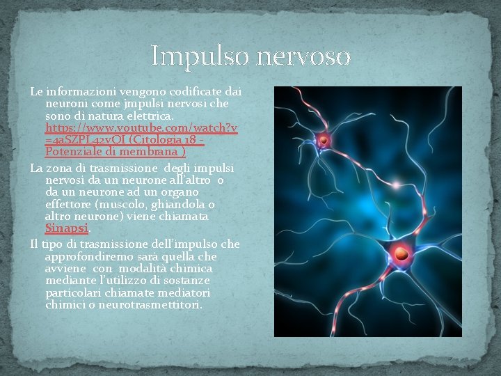Impulso nervoso Le informazioni vengono codificate dai neuroni come jmpulsi nervosi che sono di